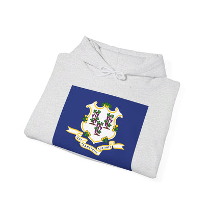 Connecticut Flag Hoodies