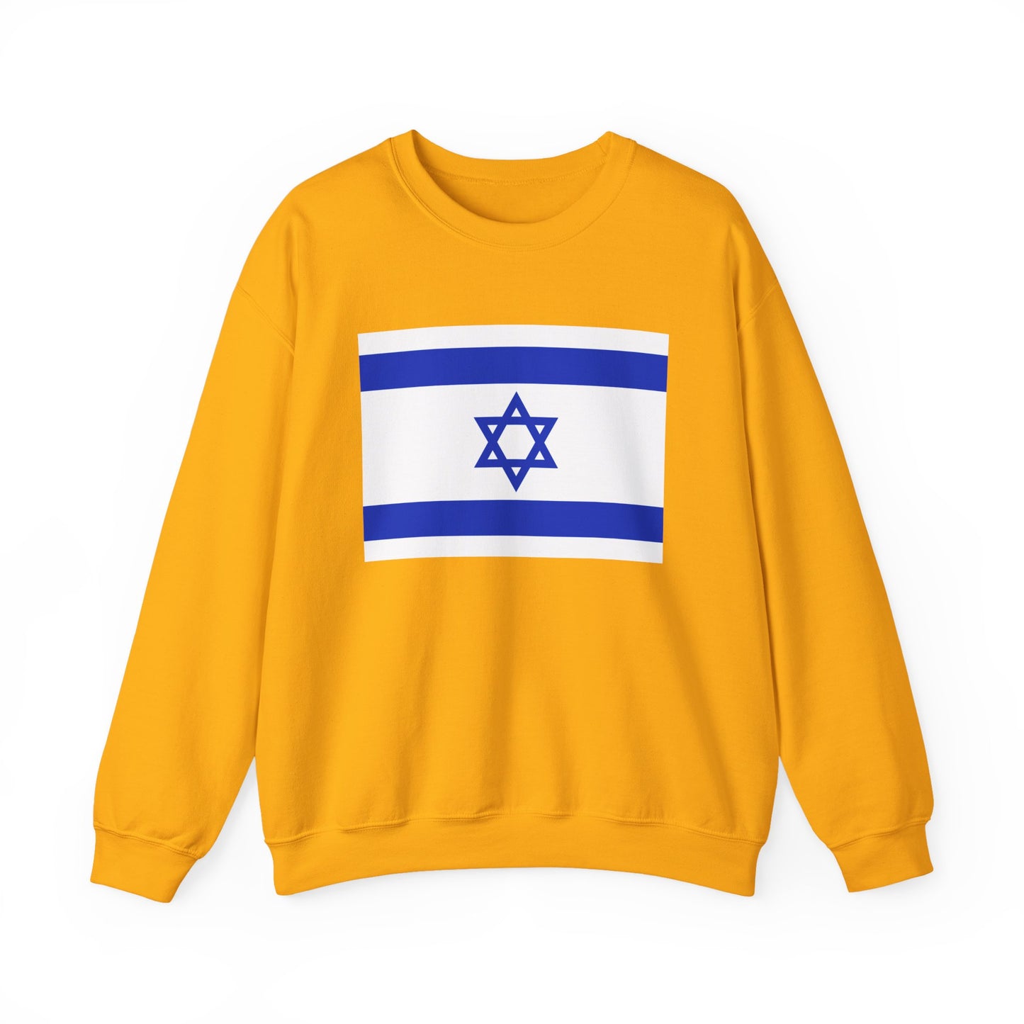 Israel Flag Sweatshirt