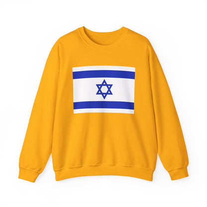 Israel Flag Sweatshirt