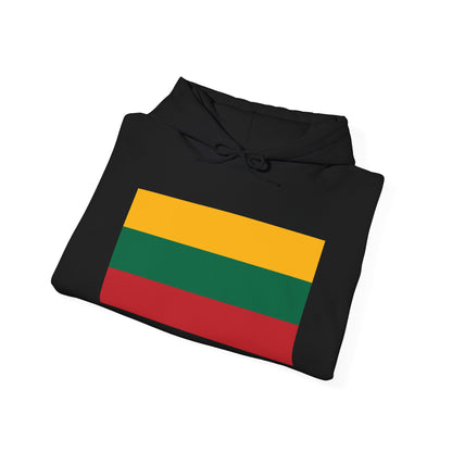 Lithuania Flag Hoodies
