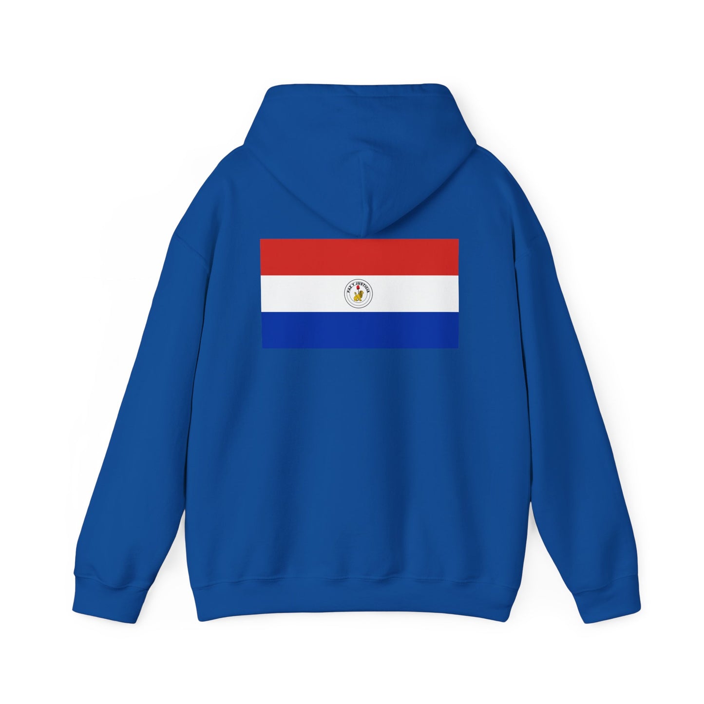 Paraguay Flag Hoodies