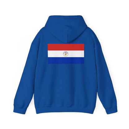 Paraguay Flag Hoodies