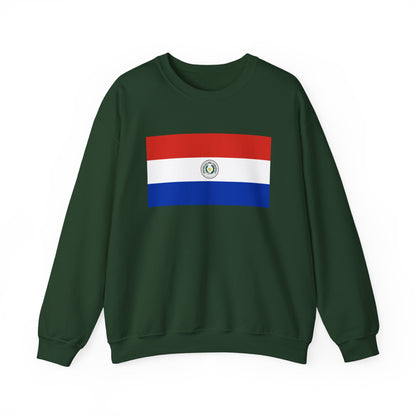 Paraguay Flag Sweatshirt