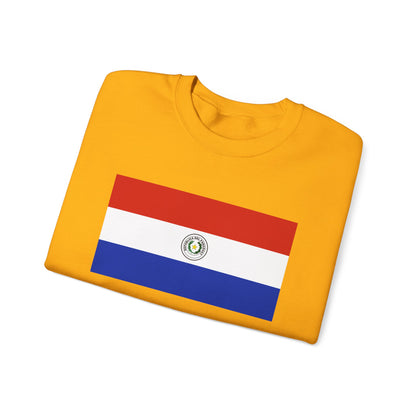 Paraguay Flag Sweatshirt