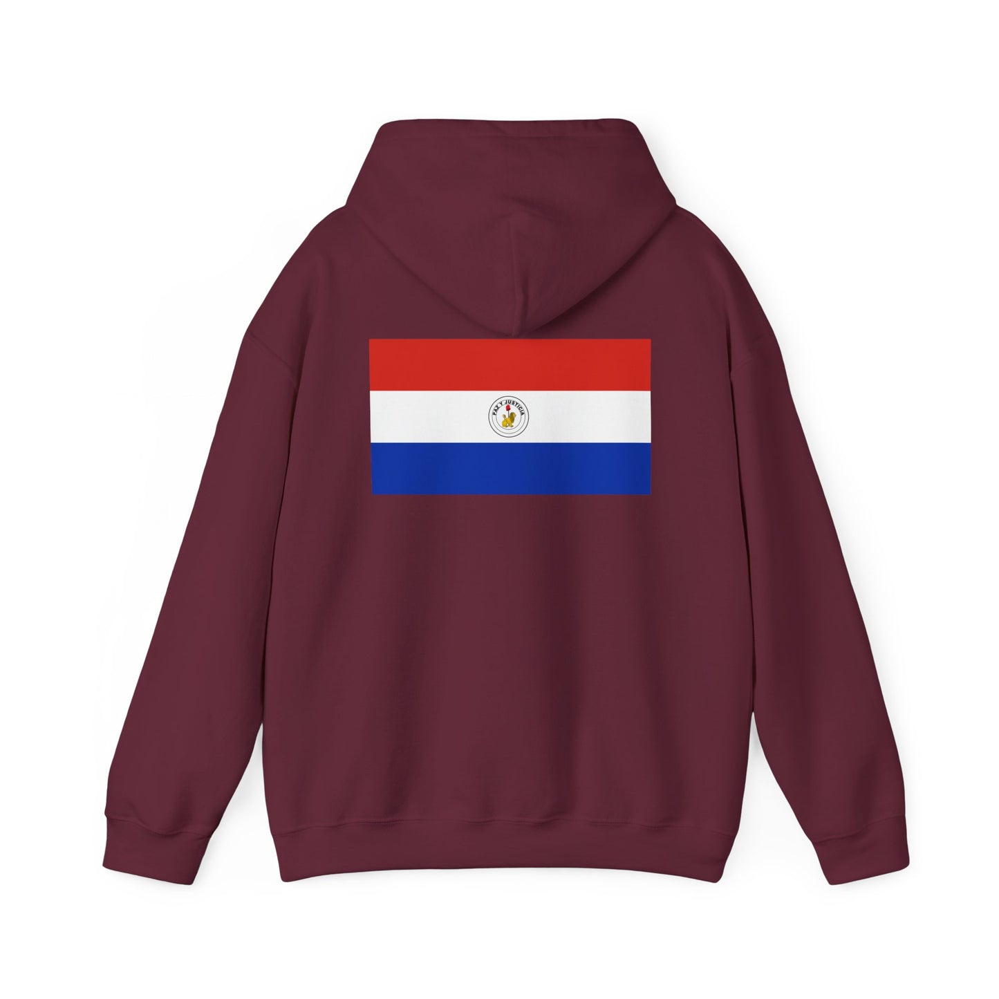 Paraguay Flag Hoodies