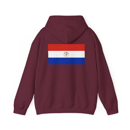 Paraguay Flag Hoodies