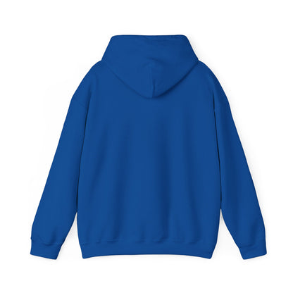 South Sudan Flag Hoodies