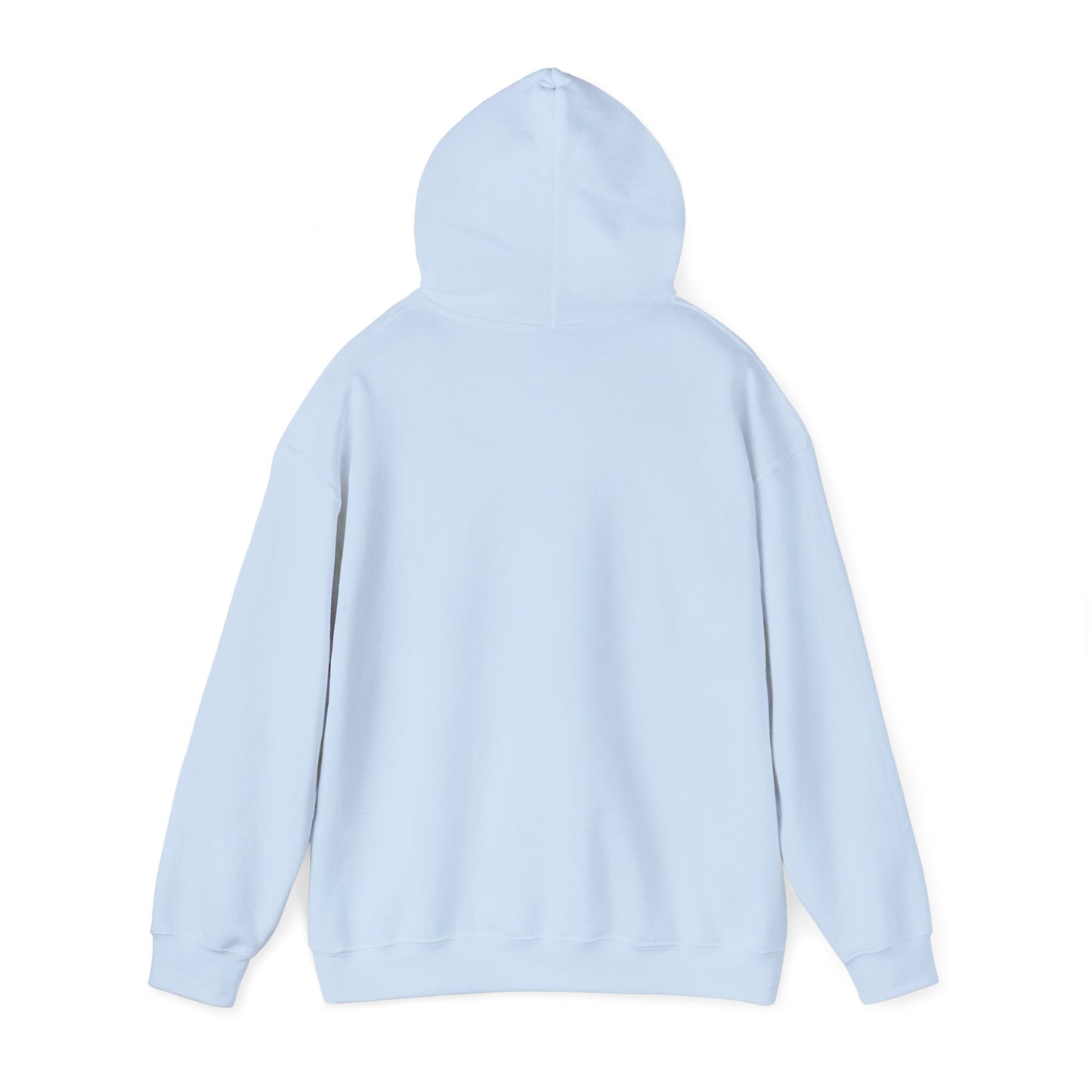 Federated States of Micronesia Flag on Hoodie