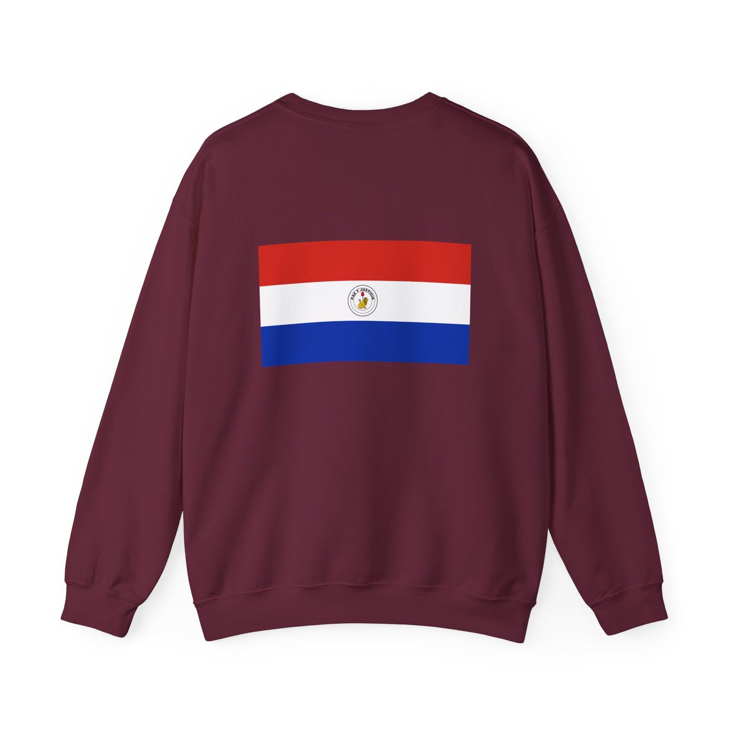 Paraguay Flag Sweatshirt