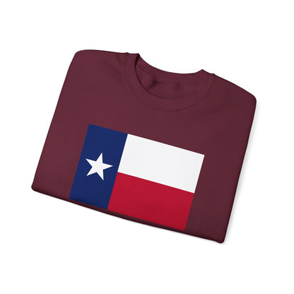 Texas Sweatshirt