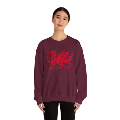 Welsh Dragon Sweatshirt