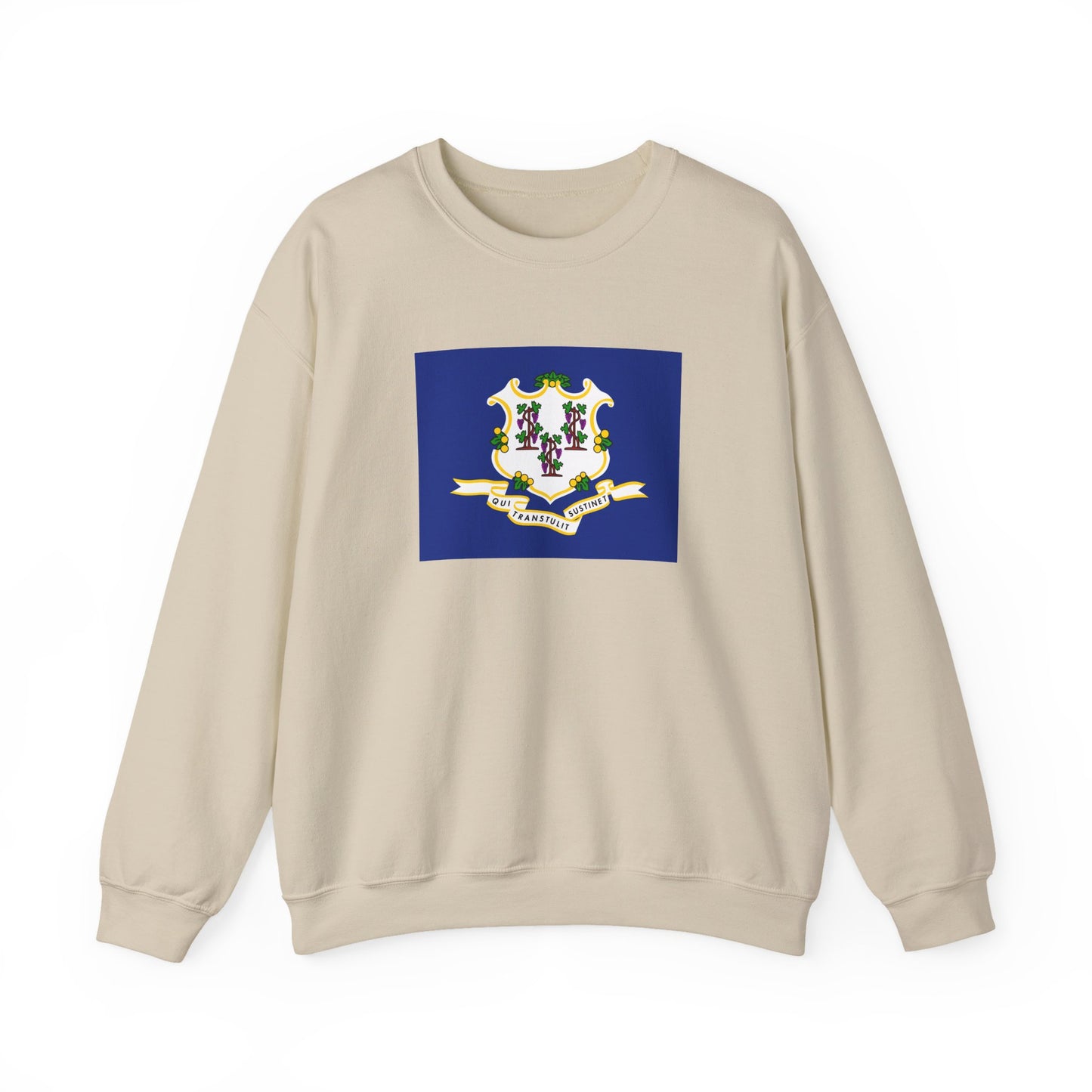 Connecticut Flag Sweatshirt