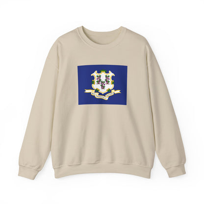Connecticut Flag Sweatshirt