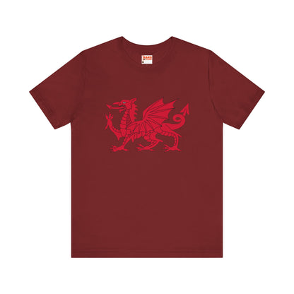 Welsh Dragon T-shirt
