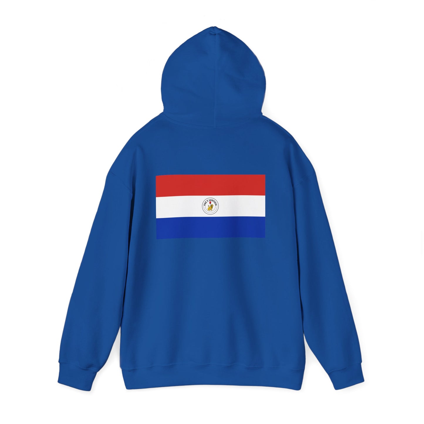 Paraguay Flag Hoodies