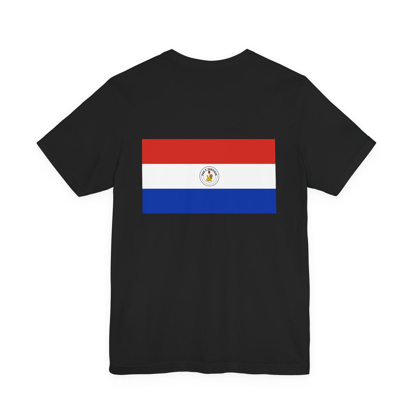 Paraguay Flag on T-shirt