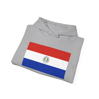 Paraguay Flag Hoodies