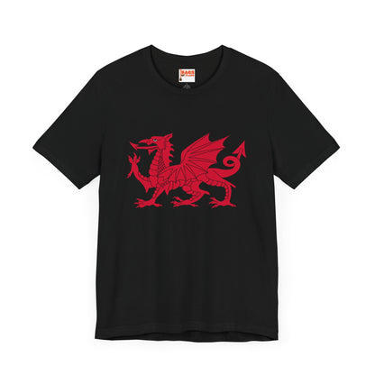 Welsh Dragon T-shirt