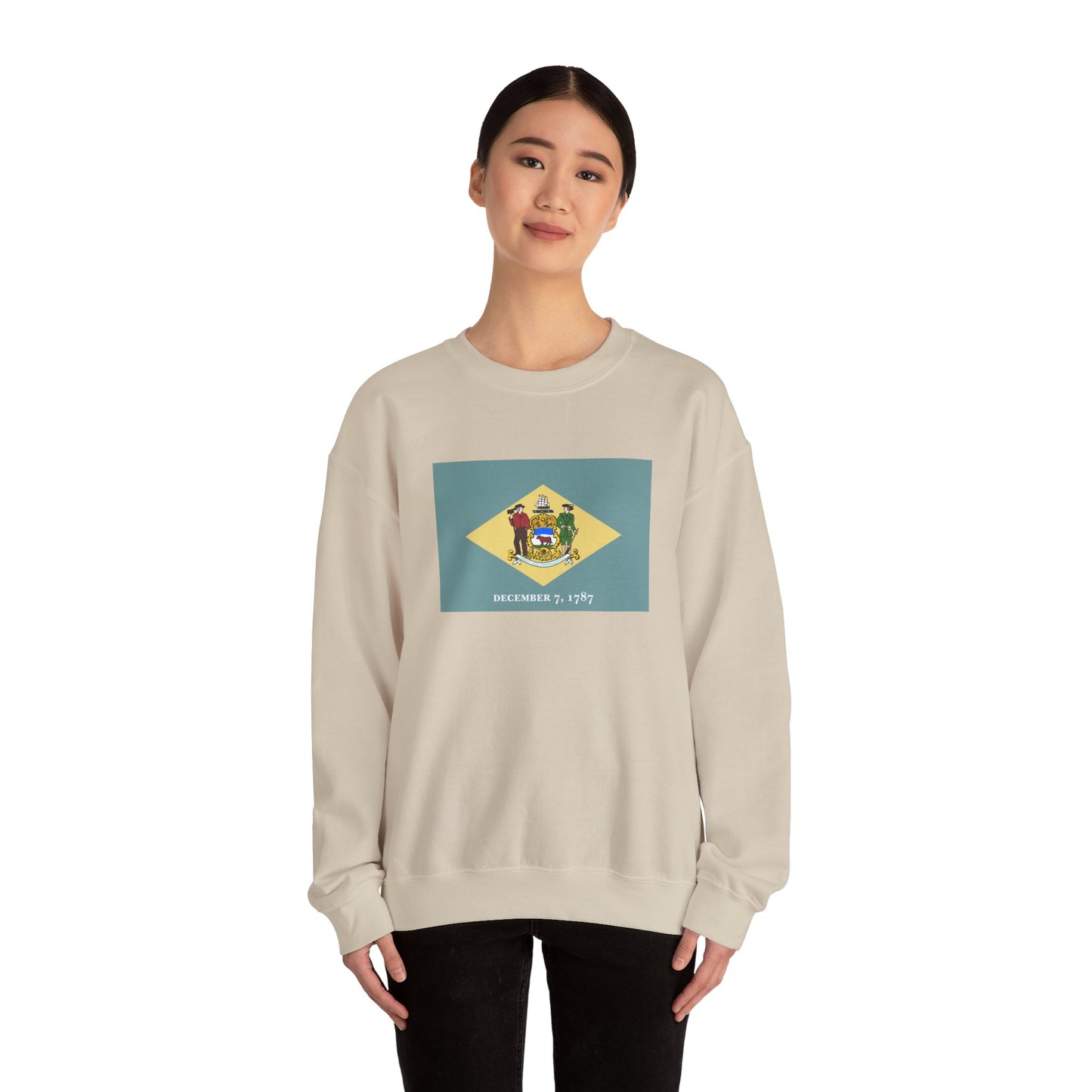 Delaware Flag Sweatshirt