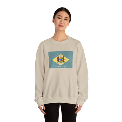 Delaware Flag Sweatshirt