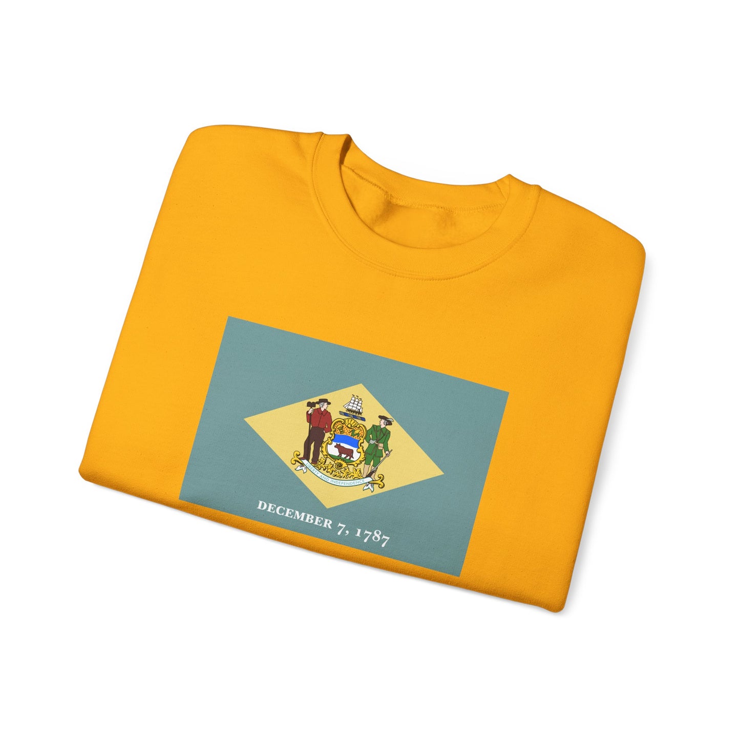 Delaware Flag Sweatshirt