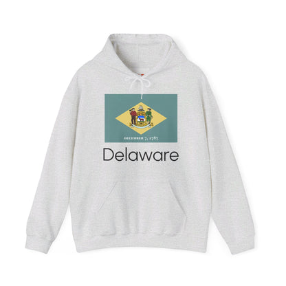 Delaware Hoodies