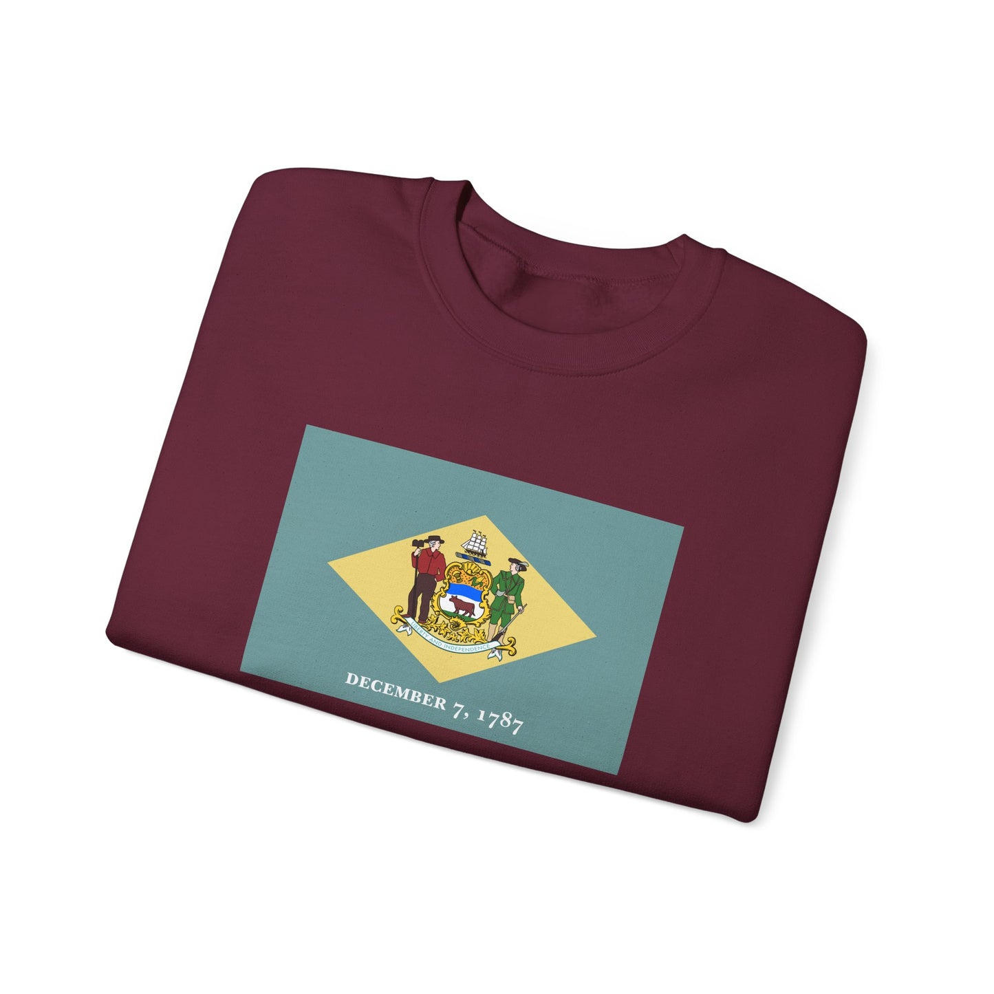 Delaware Flag Sweatshirt