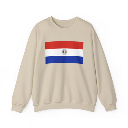 Paraguay Flag Sweatshirt