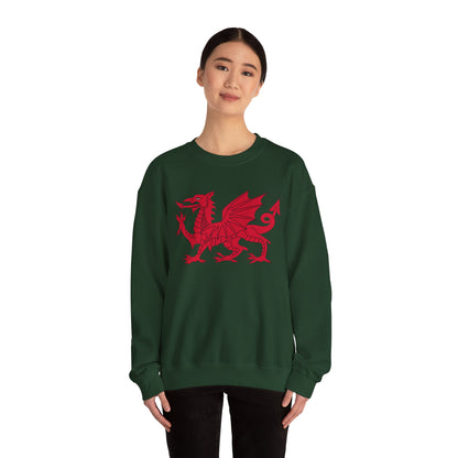 Welsh Dragon Sweatshirt