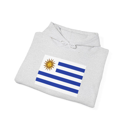 Uruguay Flag Hoodies