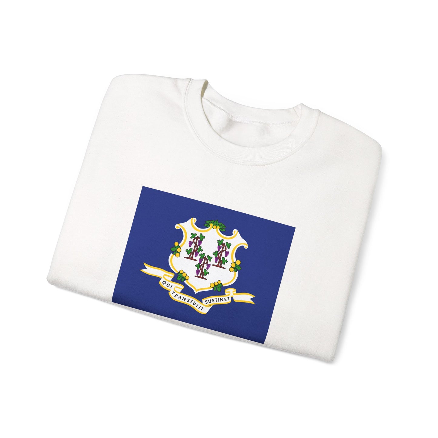 Connecticut Flag Sweatshirt