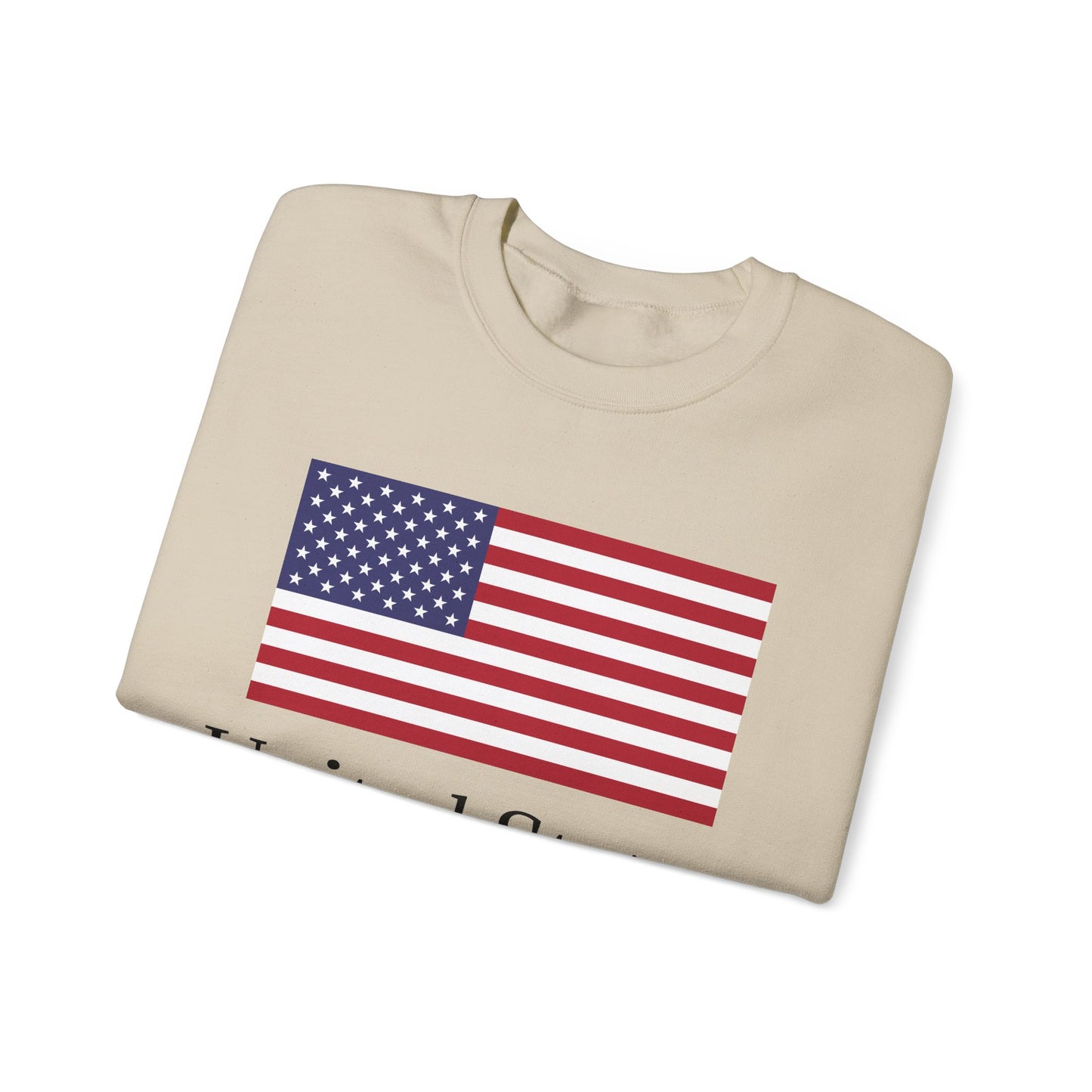 United States Sweatshirt