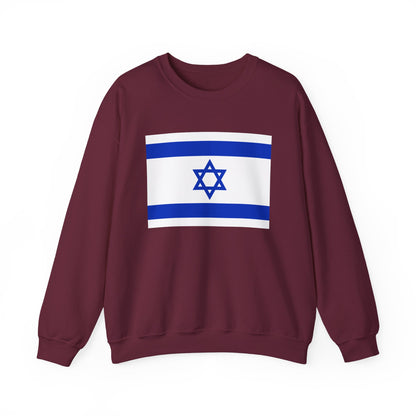 Israel Flag Sweatshirt