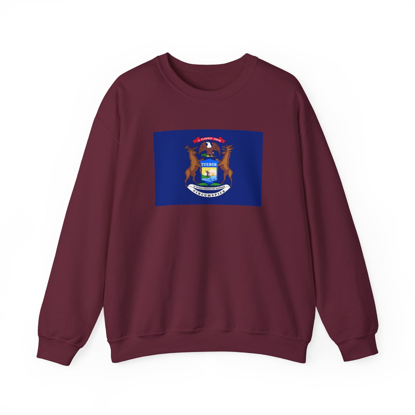 Michigan Flag Sweatshirt