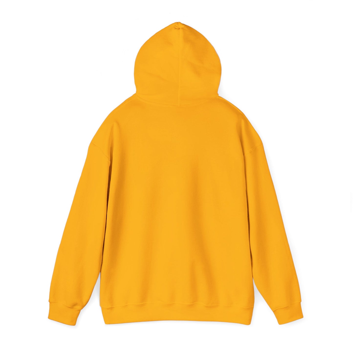 South Sudan Flag Hoodies