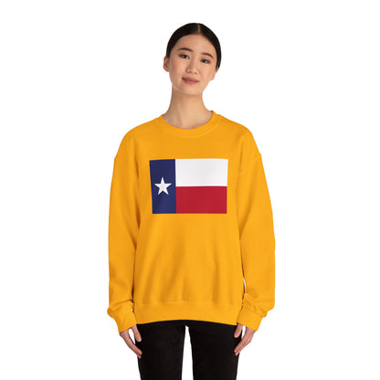 Texas Flag Sweatshirt
