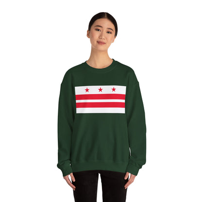 District of Columbia Flag Sweatshirt