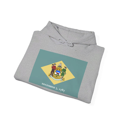 Delaware Flag Hoodies