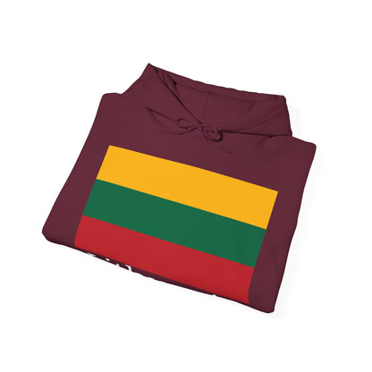 Lithuania Hoodies