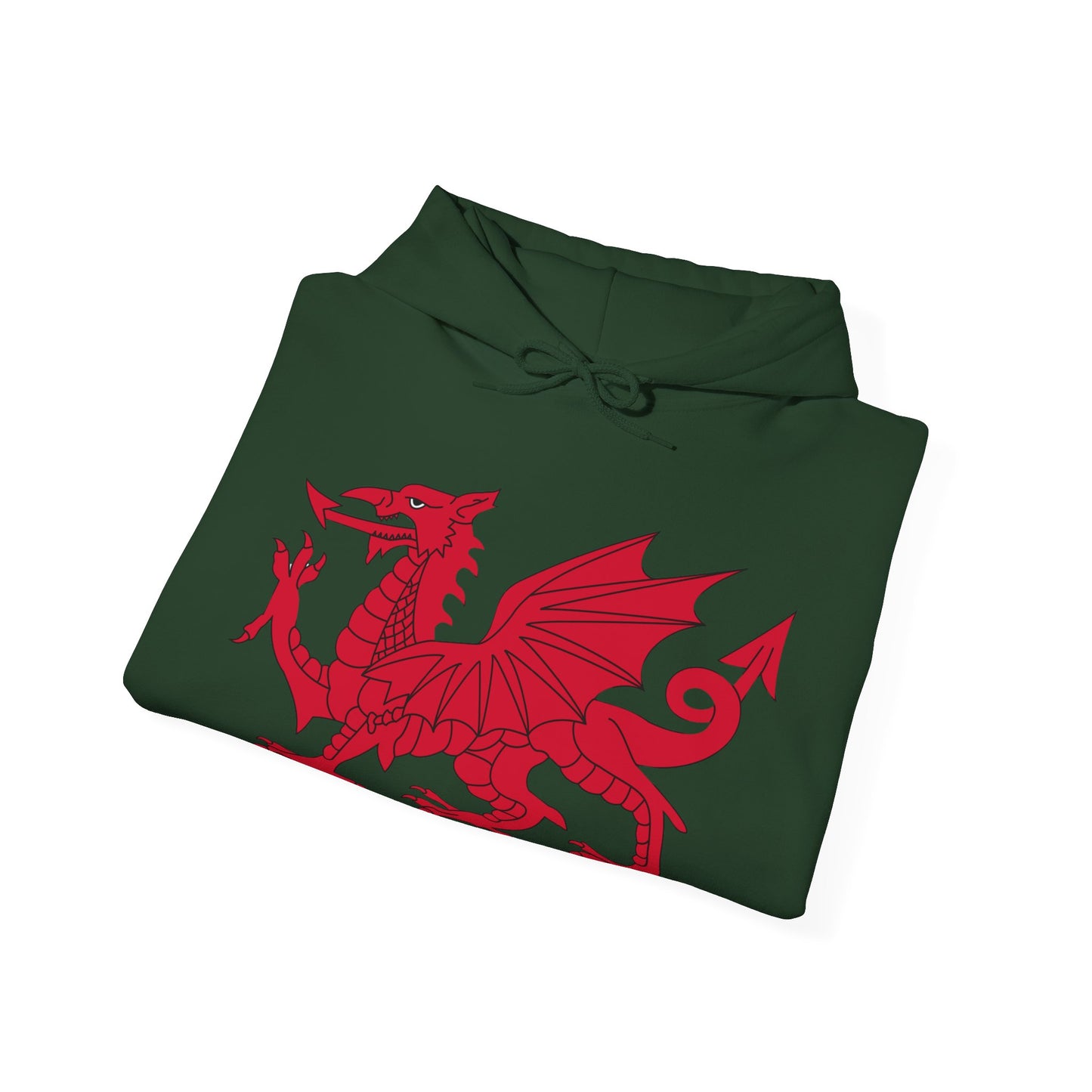 Welsh Dragon Hoodies