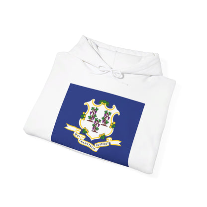 Connecticut Flag Hoodies