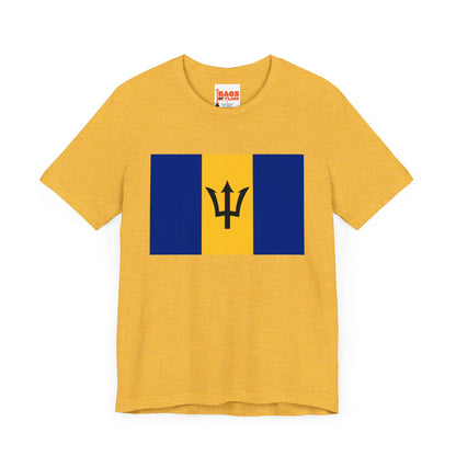 Barbados Flag on T-shirt