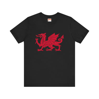 Welsh Dragon T-shirt