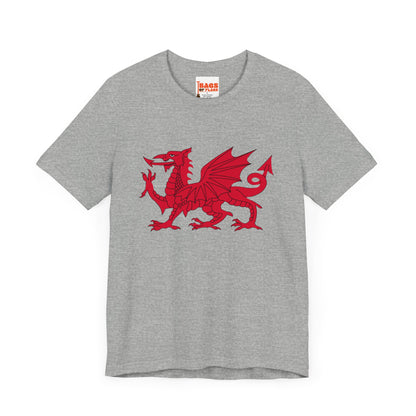 Welsh Dragon T-shirt