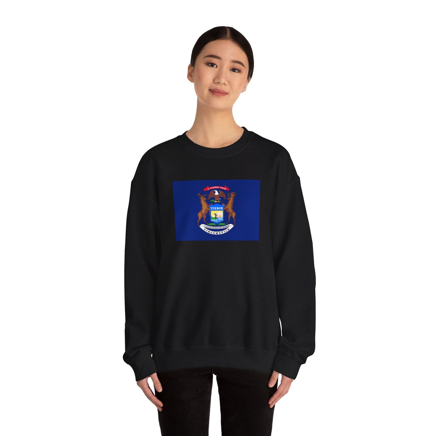 Michigan Flag Sweatshirt