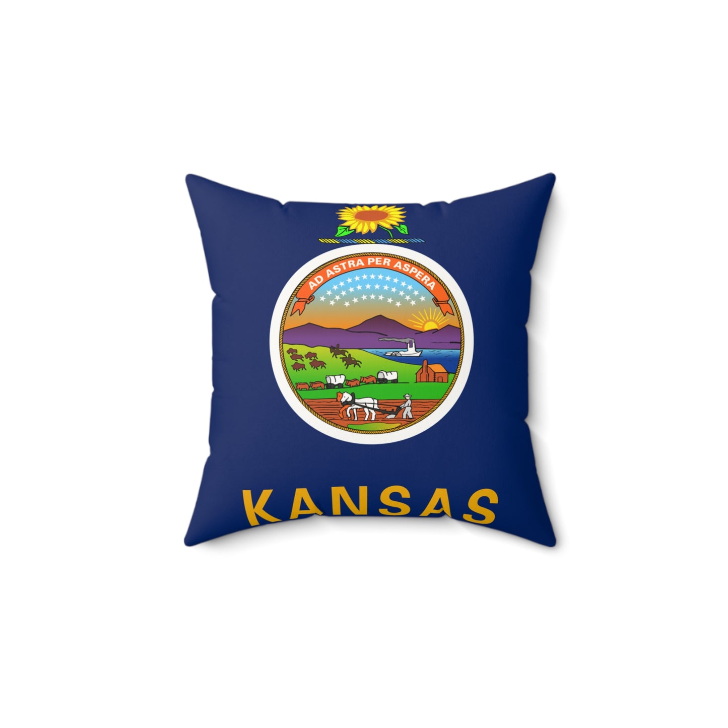 Kansas Pillow