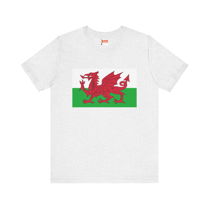 Wales Flag on T-shirt