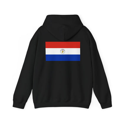 Paraguay Flag Hoodies