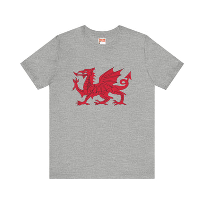 Welsh Dragon T-shirt