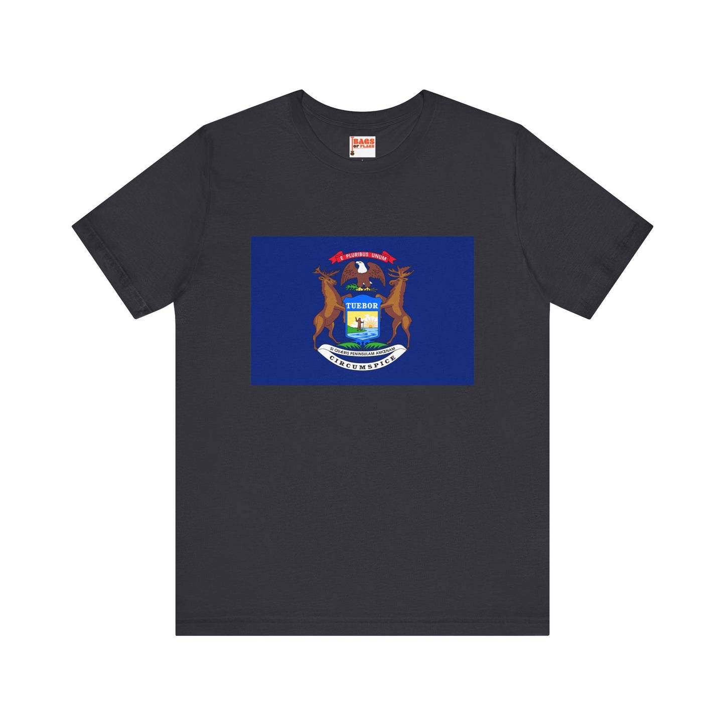 Michigan Flag T-shirts